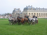 Bienvenue chez Chantilly Attelage