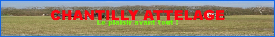 CHANTILLY ATTELAGE